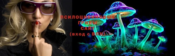 не бодяженный Дмитриев