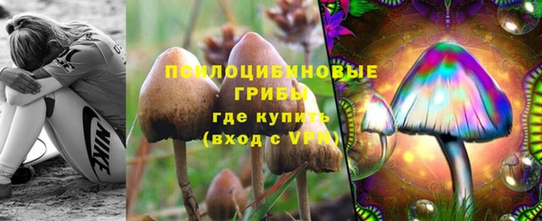 первитин Дмитров
