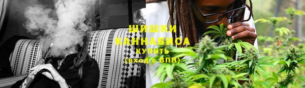не бодяженный Дмитриев