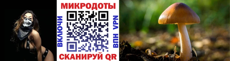 Галлюциногенные грибы GOLDEN TEACHER  KRAKEN рабочий сайт  Новозыбков 